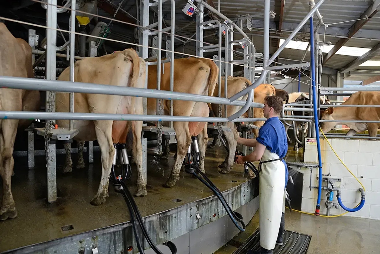 Jani-King Blast Off helping to keep rural buildings like dairy sheds clean